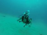 Hawaii Scuba divng 74