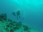 Hawaii Scuba divng 75