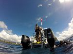 Hawaii Scuba divng 76