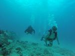 Hawaii Scuba divng 77