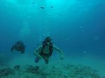 Hawaii Scuba divng 78