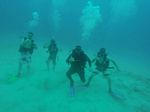 Hawaii Scuba divng 80