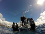 Hawaii Scuba divng 81