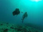 Hawaii Scuba divng 91