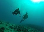 Hawaii Scuba divng 92