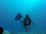 Hawaii Scuba divng 93