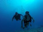 Hawaii Scuba divng 94