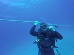 Hawaii Scuba divng 99