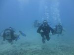 Hawaii Scuba divng 12