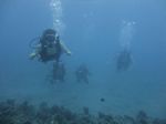 Hawaii Scuba divng 16