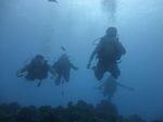 Hawaii Scuba divng 17