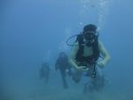 Hawaii Scuba divng 22