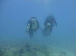 Hawaii Scuba divng 27