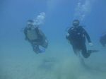 Hawaii Scuba divng 28