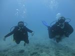 Hawaii Scuba divng 31