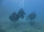 Hawaii Scuba divng 34