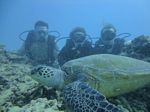 Hawaii Scuba divng 38