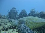 Hawaii Scuba divng 39