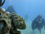 Hawaii Scuba divng 41