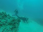 Hawaii Scuba divng 12