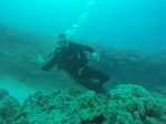 Hawaii Scuba divng 14