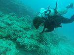 Hawaii Scuba divng 15