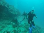 Hawaii Scuba divng 19