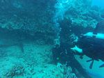 Hawaii Scuba divng 20