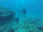 Hawaii Scuba divng 25