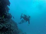 Hawaii Scuba divng 28