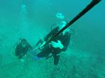 Hawaii Scuba divng 76