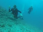 Hawaii Scuba divng 82