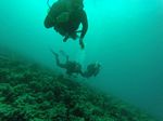 Hawaii Scuba divng 83