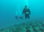 Hawaii Scuba divng 84