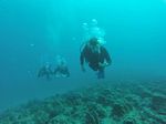 Hawaii Scuba divng 85