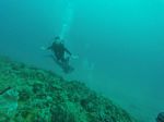 Hawaii Scuba divng 89