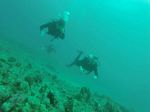 Hawaii Scuba divng 91