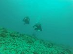 Hawaii Scuba divng 92