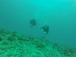 Hawaii Scuba divng 93