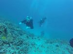 Hawaii Scuba divng 94