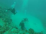 Hawaii Scuba divng 95