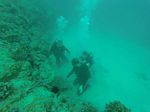 Hawaii Scuba divng 97