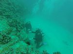 Hawaii Scuba divng 98