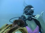 Hawaii Scuba divng 14