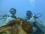 Hawaii Scuba divng 15