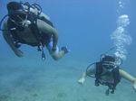 Hawaii Scuba divng 18