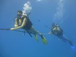 Hawaii Scuba divng 04