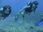 Hawaii Scuba divng 11