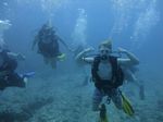 Hawaii Scuba divng 12