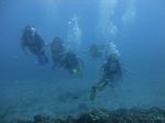 Hawaii Scuba divng 13